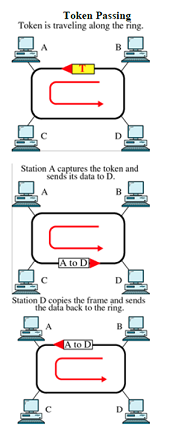 560_Computer network.png